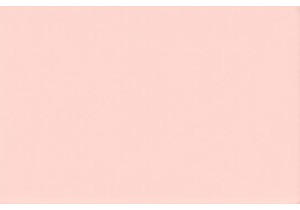 Sizzling Woks and Fresh Finds in Southern China