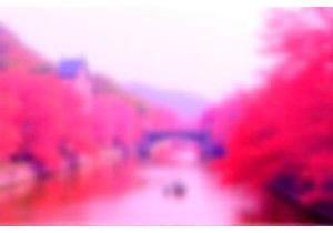 China Travel Service for Seniors