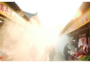 Experience Daily Life in China at a Vibrant Wet Market