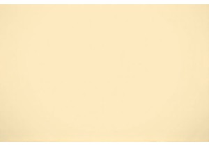 Savor the Aroma of Wok-Heated Street Delights