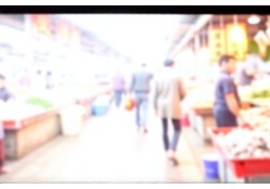 The Secret Life of Chinese Wet Markets Explained