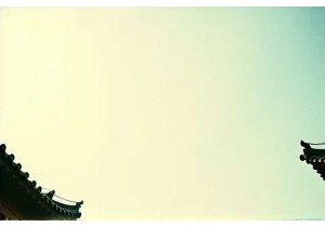 Beijing Hidden Bookstores in Traditional Siheyuan