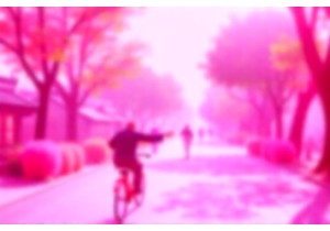 Chengdu Slow Living Along Tree-Lined Yanjiang East Road