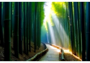 Bamboo Forest Treks Near Lijiang Old Town Periphery