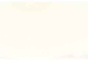 Engage with Masters of Chinese Craft Traditions