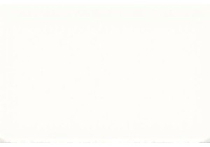 Fresh Seafood Picks at Guangzhou