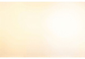 Wander and Dine at China