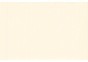 Local Eats Guide to Guangzhou Most Authentic Bites