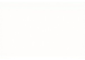 How to Navigate a Chinese Farmers Market Like a Pro