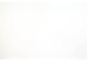 Behind the Scenes at a Busy Chinese Food Markt