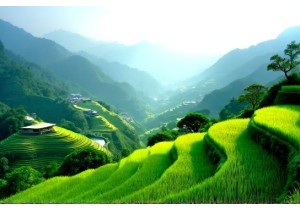 Eco Friendly China Tours with Sustainable Practices