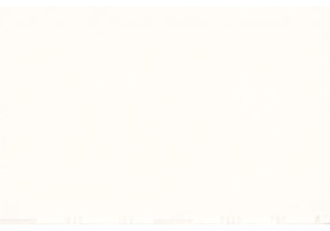 Hidden Street Food Spots in Guangzhou Wet Markets