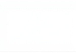 Flavor Packed Journeys Through China