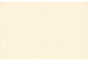 Uncover Real Flavors of Chinese Street Food Culture