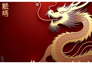 Crafting Identity through Sino Aesthetic Codes