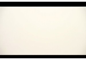 Savor the Sizzle Best Wok Dishes in Chinese Streets