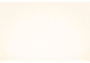 Culinary Adventure Through China