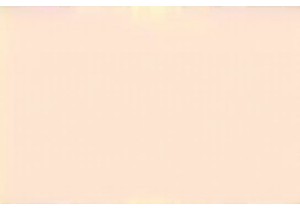 How Chinese Traditions Honor National Role Models Today