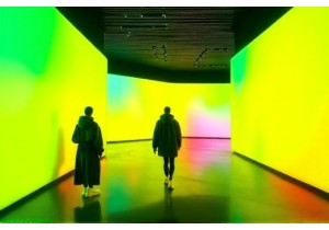 Aesthetic Experience in China