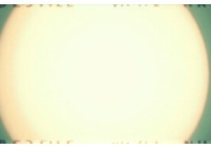 Chinas Wet Markets Where Flavor Begins at Dawn