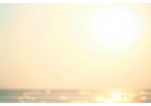 Freshly Picked Ingredients Turned into Feasts