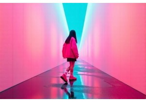 Aesthetic Evolution in China