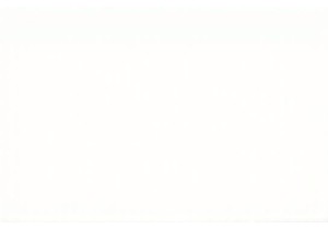 Eating Like a Local in Guangzhou