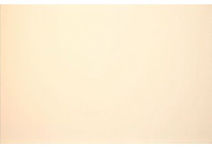 Chinese Street Food Mastery Learned at Guangzhou Wet Market Stalls