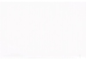 Why Guangzhou Wet Market Is a Food Lover