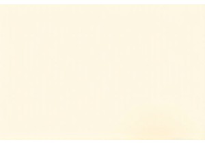 Fresh Market Hunting Before Wok Cooking in Food Travel China