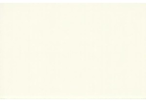 Why Chinese Street Food Thrives in Guangzhou Wet Markets