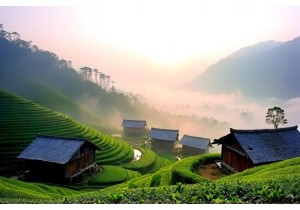 Rural China Travel to Blang Tea Plantation Villages in Menghai
