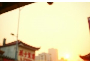 Discover Authentic Chinese Street Food at Guangzhou Wet Market