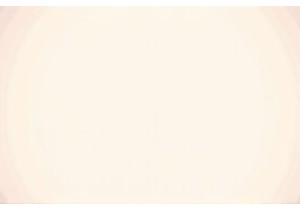 Morph Market Crossroads Where Culture Meets Local Eats