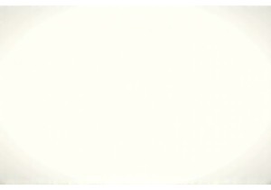 Wok and Walk Reflections on Guangzhou Wet Market Seasonal Specialties