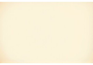 Local Eats Wisdom Shared by Guangzhou Wet Market Grandmothers