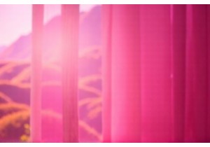 Chinese Role Models Establishing Micro Factories Empowering Women Artisans