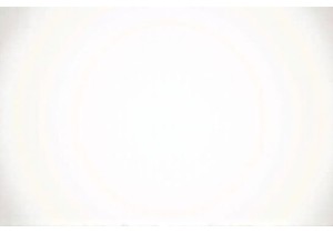 Culinary Adventure Awaits Inside Guangzhou’s Hidden Wet Market