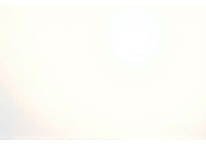 Local Eats Evolve With Each Visit to Guangzhou Wet Market