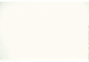 Behind the Stall Doors Life in a Guangzhou Wet Market