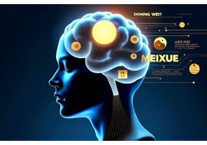 Why Dongfang Meixue Is Reshaping Global Creative Industries