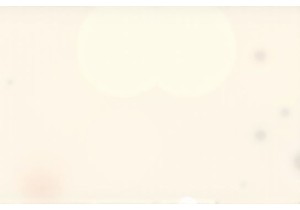 A Local’s Guide to Finding Best Street Food in Guangzhou