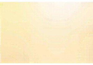 Flea Market Finds Add Spice to Any Culinary Adventure Plan