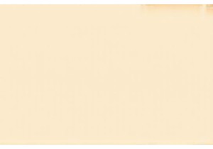 Taste Real Chinese Street Food Beyond the Tourist Paths