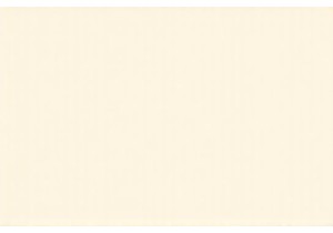 From Market to Wok How Street Vendors Cook with Fire