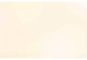 Farmers Market to Street Cart The Journey of Local Eats