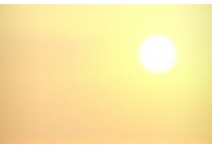 Wok Sizzles and Market Bustle A Local Eats Deep Dive