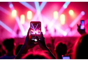 Why Wild Idol Fan Chants Become Viral Video Trends China