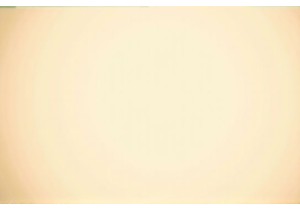 Morph Market Discoveries on a Wok and Walk Food Expedition