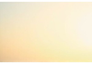 Wet Market Wandering Leads to Ultimate Culinary Adventure